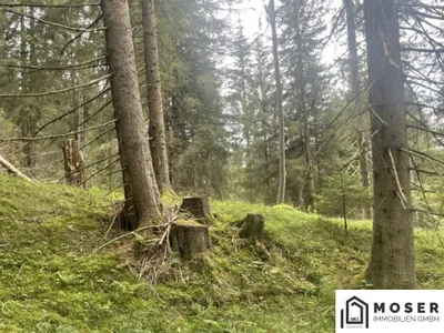Immobilie kaufen in Murau – Bild 14 von 39