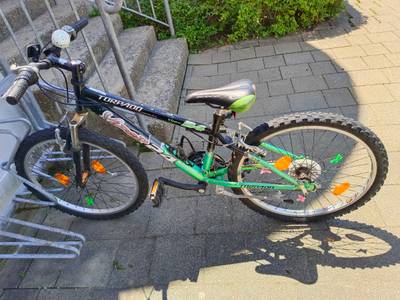 Kinderfahrrad 24 Zoll kaufen - willhaben