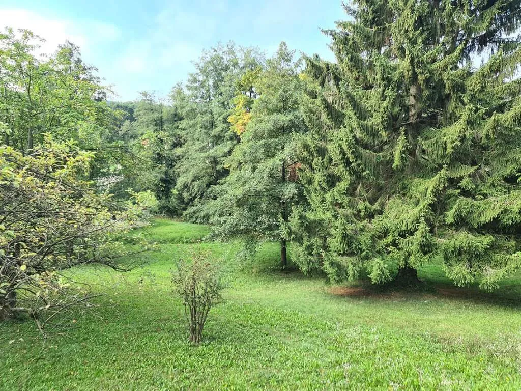 *** GROSSES GRUNDSTÜCK MIT AUSBLICK *** RUHELAGE *** ZENTRUMSNÄHE *** - Ansicht 3