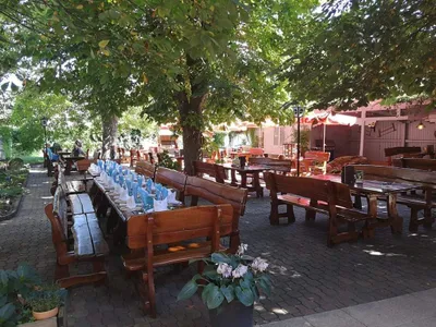 Gewerbeimmobilie mieten in Linz Land – 600 m², € 3.000 – Bild 7 von 9