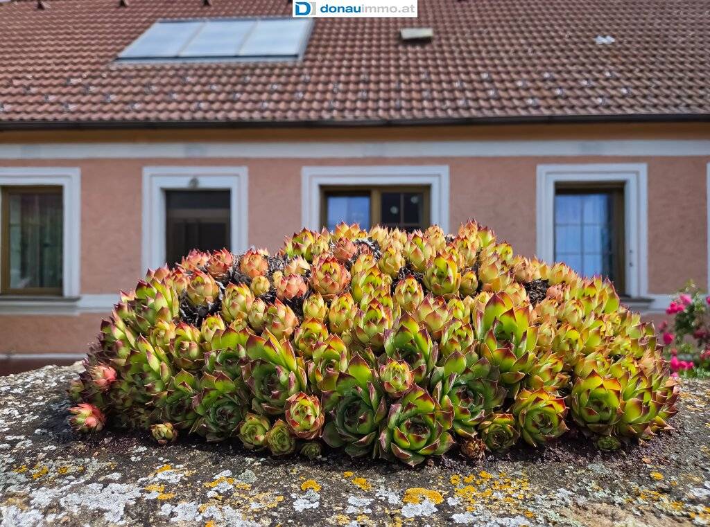 Ehemaliges Bauernhaus mit Garten und viel Potenzial, Zemmendorf