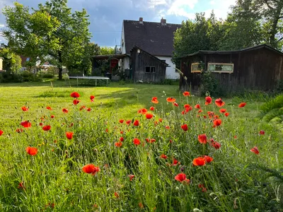 5-Zimmer-Haus mieten in Waidhofen an der Thaya – 102 m², € 1.320 – Bild 2 von 11