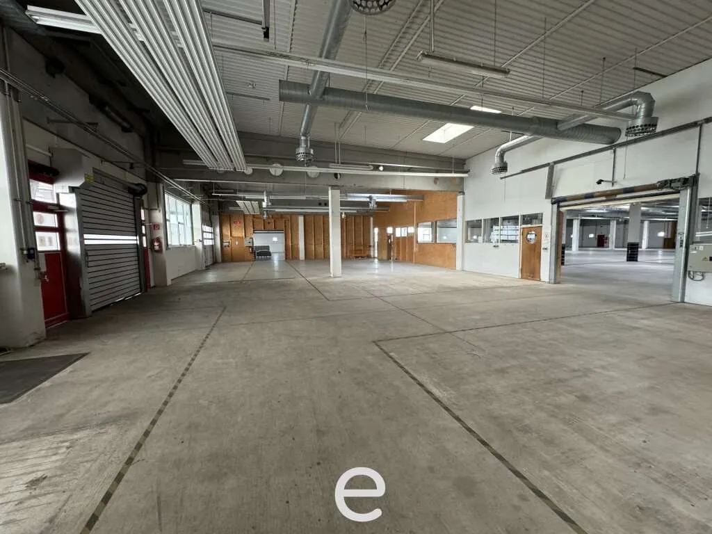 Produktions und Lagerhalle mit hervorragender Verkehrsanbindung! - Ansicht 3