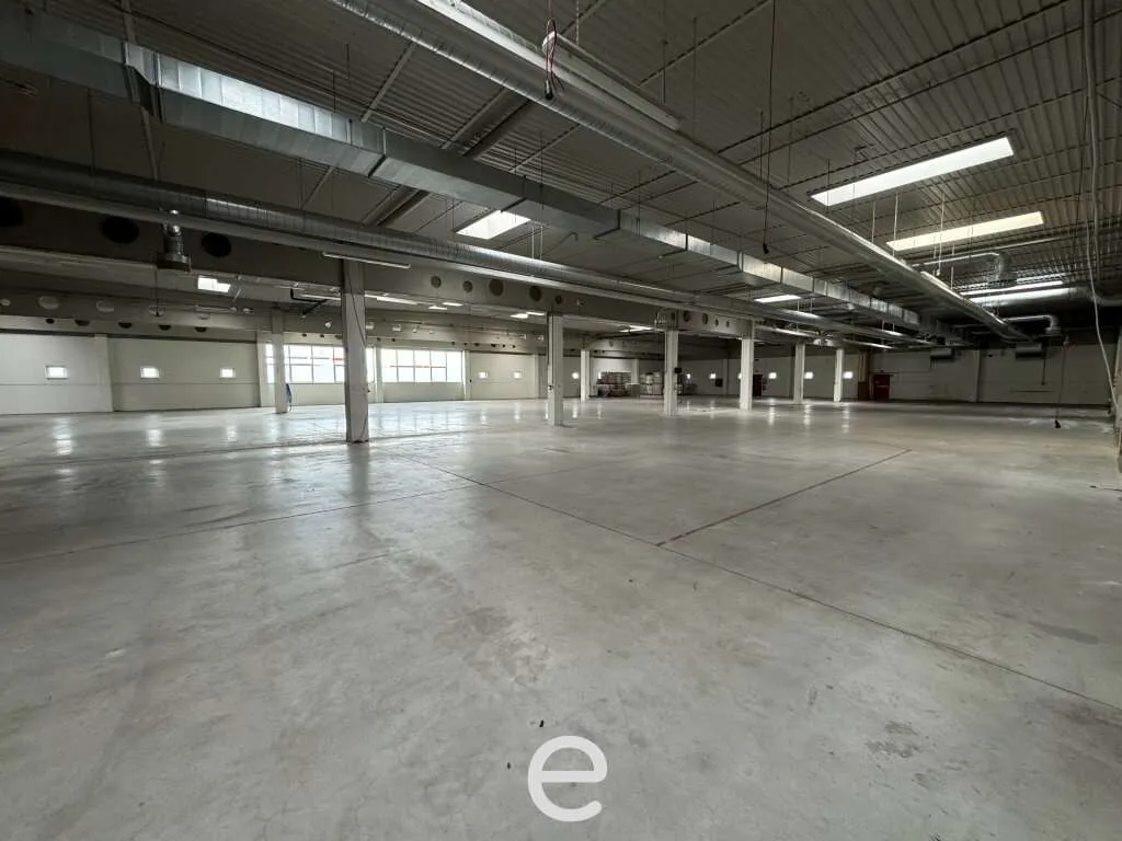 Produktions und Lagerhalle mit hervorragender Verkehrsanbindung! - Ansicht 2