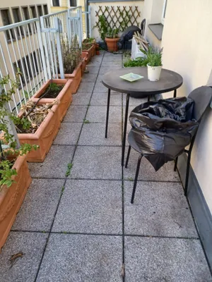 Helle Wohnung in zentraler Lage – Bild 3