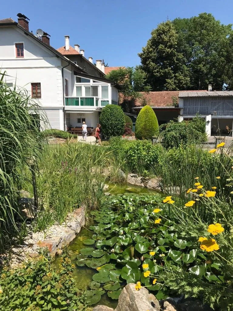 Großes Bürgerhaus mit 3 Wohneinheiten in Hadersdorf - Ansicht 2
