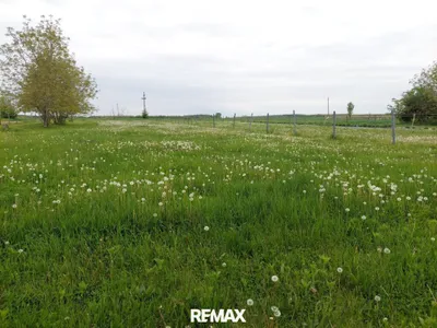 3-Zimmer-Haus kaufen in Jennersdorf – 85 m², € 150.000 – Bild 18 von 19