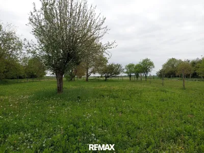 3-Zimmer-Haus kaufen in Jennersdorf – 85 m², € 150.000 – Bild 17 von 19