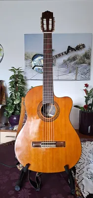 Elektrische Akustikgitarre Valencia mit Verstärker uvm.