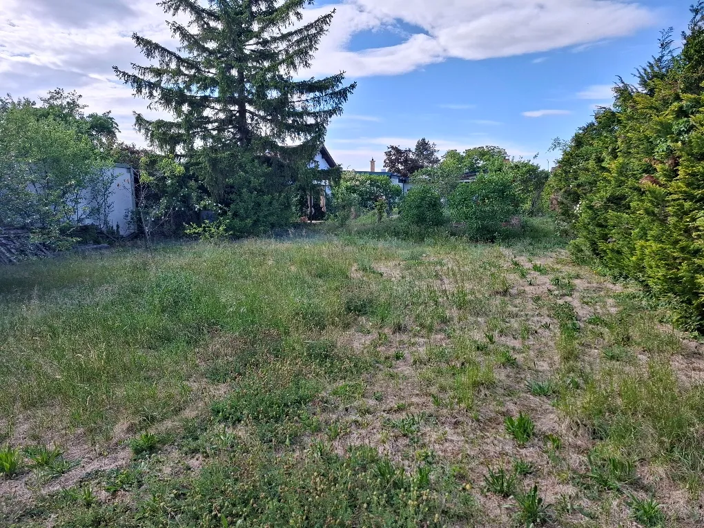 Felixdorf: Wunderschönes großes Baugrundstück - auch TEILBAR - mit einem tollen Haus mit Keller, Garage, Carport und vielen Möglichkeiten! - Ansicht 3