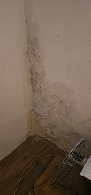 4-Zimmer-Haus kaufen in Villach Land – 114 m², € 125.000 – Bild 21 von 22