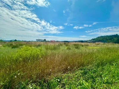 Grundstück kaufen in Deutschlandsberg – 657 m², € 99.560 – Bild 6 von 10