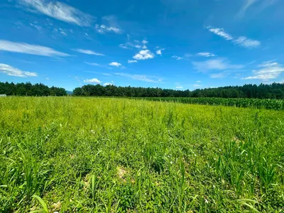 Grundstück kaufen in Deutschlandsberg – 657 m², € 99.560 – Bild 4 von 10