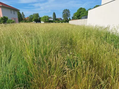 Grundstück kaufen in Bruck an der Leitha – 781 m², € 310.000 – Bild 7 von 7