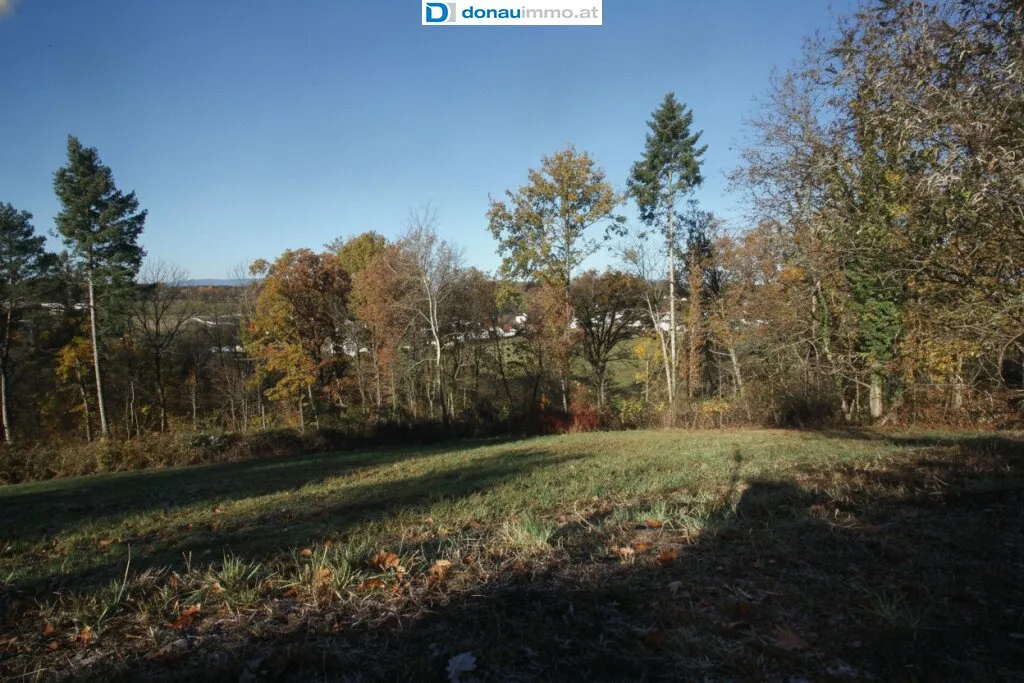 Schönes und ruhig gelegenes Baugrundstück in Bad Tatzmannsdorf - Ansicht 2