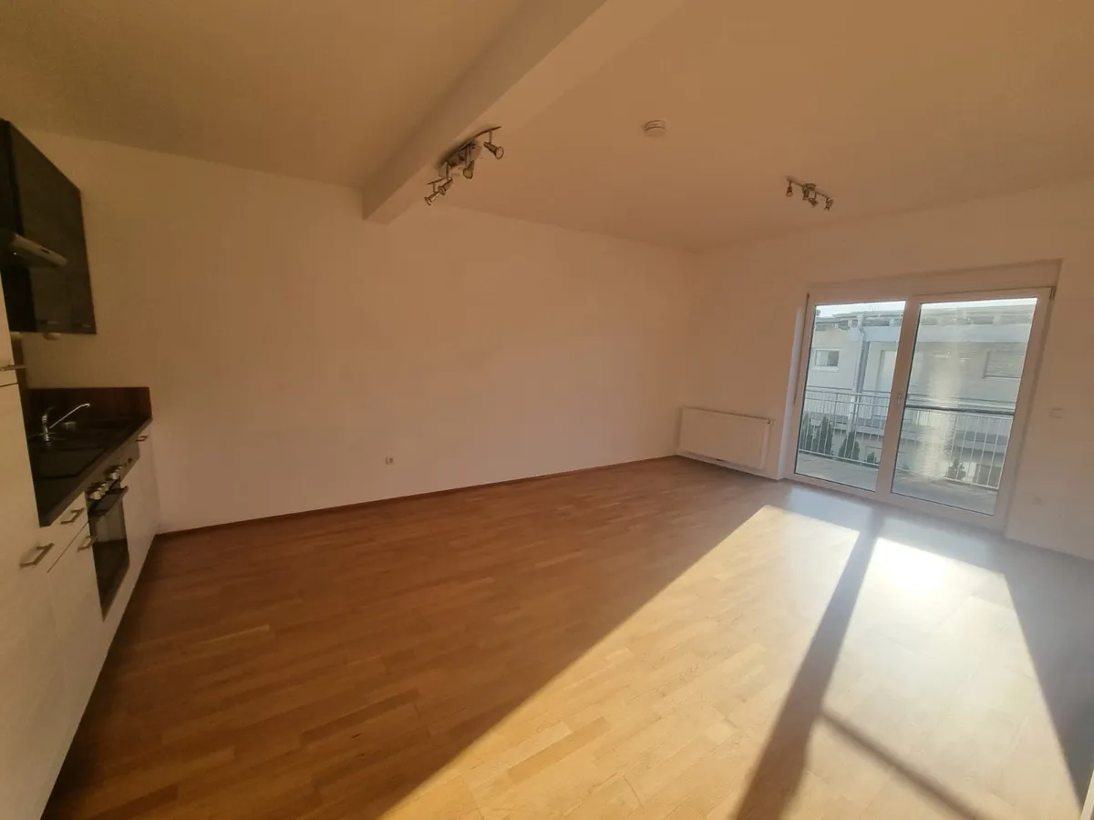 JETZT 1 Monat MIETFREI - Neues Zuhause! HELLE GARTENWOHNUNG, freundlich, Haustiere willkommen - Ansicht 2