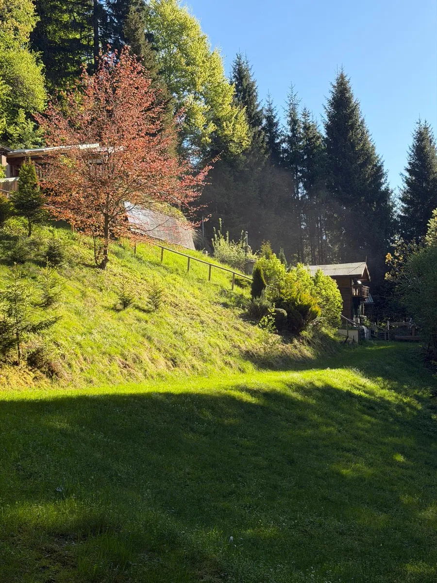 Wohnung – Weißenbach bei Liezen