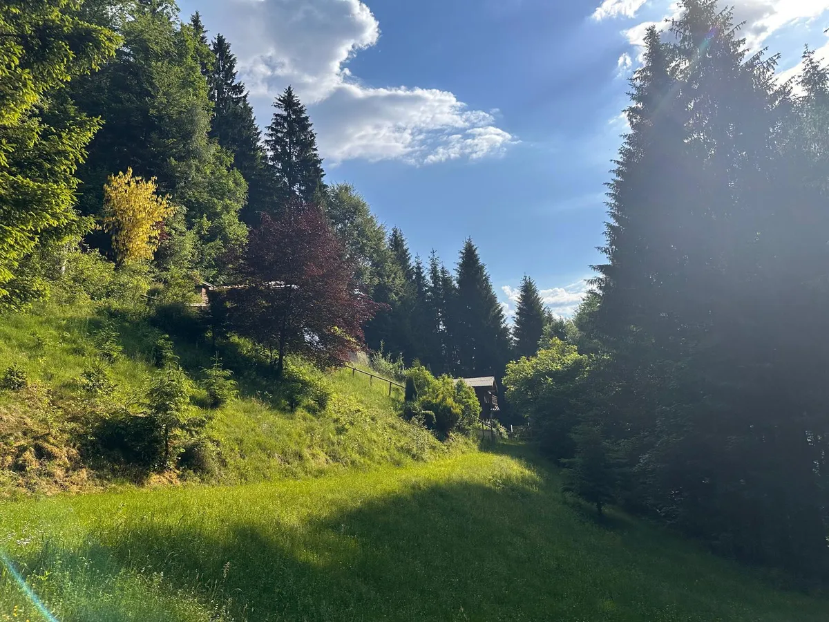Wohnung – Weißenbach bei Liezen - Ansicht 2