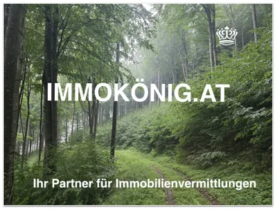 Immobilie kaufen in Melk – € 379.000 – Bild 9 von 10