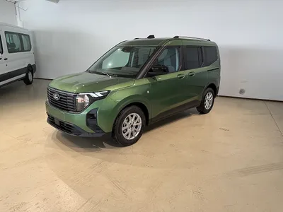 Ford Tourneo Courier 1,0 EcoBoost Titanium *5 Jahre ...