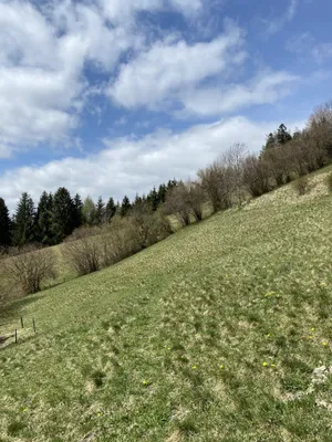 Grundstück kaufen in Murtal – 31 775 m² – Bild 7 von 8