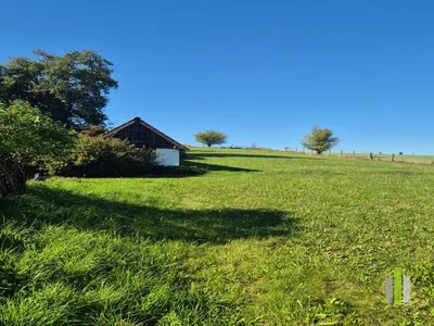 6-Zimmer-Immobilie kaufen in Vöcklabruck – 400 m², € 875.000 – Bild 44 von 68