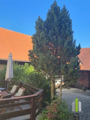 6-Zimmer-Immobilie kaufen in Vöcklabruck – 400 m², € 875.000 – Bild 67 von 68