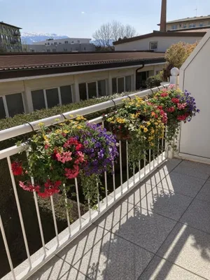 2-Zimmer-Wohnung mieten in Salzburg Stadt – 60 m², € 1.250 – Bild 13 von 19