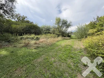 8-Zimmer-Haus kaufen in Hartberg-Fürstenfeld – 177,46 m², € 465.000 – Bild 3 von 18