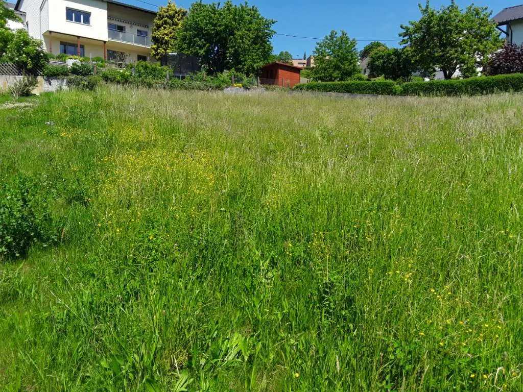 Sonniger traumhafter Baugrund in Gallneukirchen - Ansicht 3