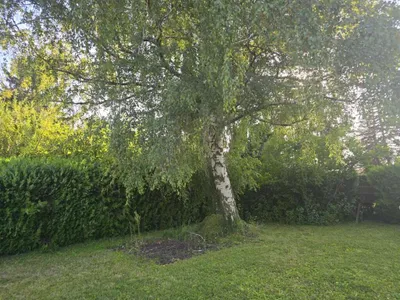 3-Zimmer-Immobilie kaufen in Eisenstadt - Umgebung – 30 m², € 21.900 – Bild 5 von 13