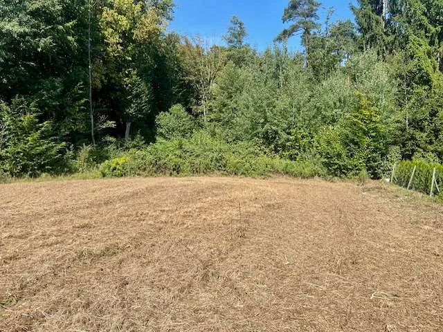 Wettmannstätten: Großzügiges leicht hanglagiges Baugrundstück nahe des Waldschachersees - Ansicht 3
