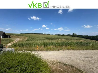 Haus kaufen in Wels-Land – 126,5 m², € 1.100.000 – Bild 36 von 49