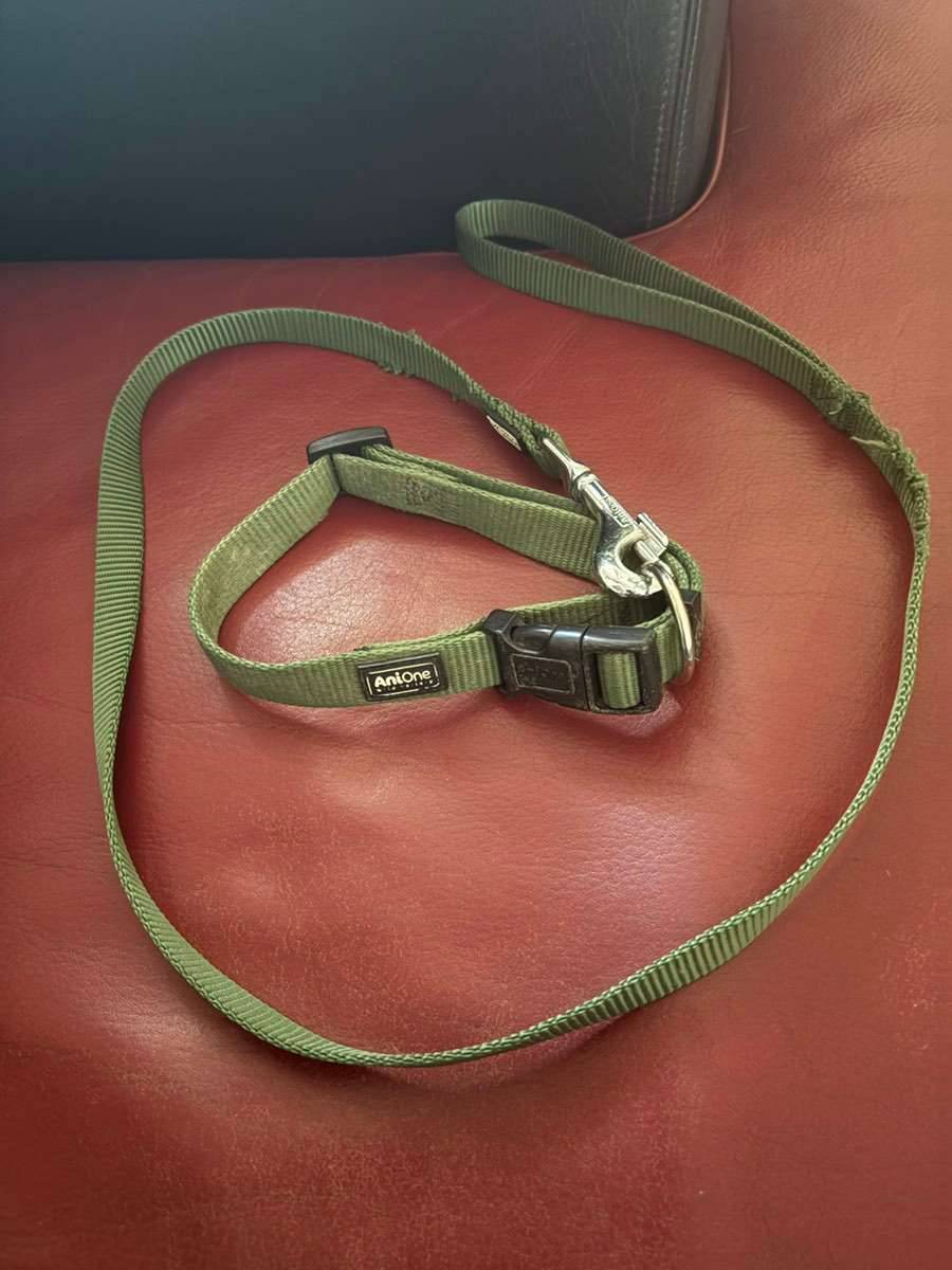 Halsband und kurze Leine (AniOne),  7,- (1130 Wien) - willhaben
