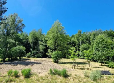 5-Zimmer-Immobilie kaufen in Sankt Pölten Land – 169 m², € 1.200.000 – Bild 11 von 41