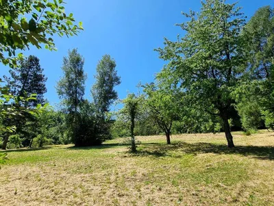 5-Zimmer-Immobilie kaufen in Sankt Pölten Land – 169 m², € 1.200.000 – Bild 13 von 41