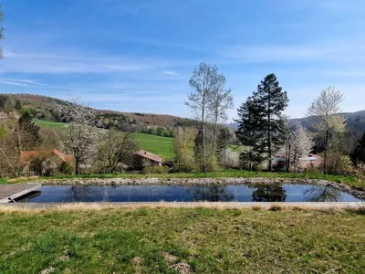 5-Zimmer-Immobilie kaufen in Sankt Pölten Land – 169 m², € 1.200.000 – Bild 6 von 41