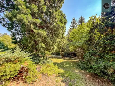 12-Zimmer-Immobilie kaufen in Sankt Pölten Land – 400 m², € 1.590.000 – Bild 29 von 44
