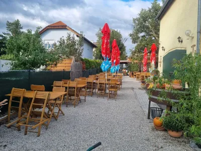 Gewerbeimmobilie kaufen in Baden – 230 m² – Bild 1 von 15