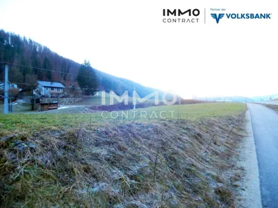 Immobilie kaufen in Steyr-Land – 4 568 m², € 195.000 – Bild 14 von 17