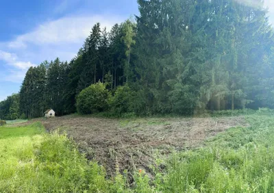 Grundstück kaufen in Graz-Umgebung – 2 462 m², € 83.000 – Bild 10 von 10