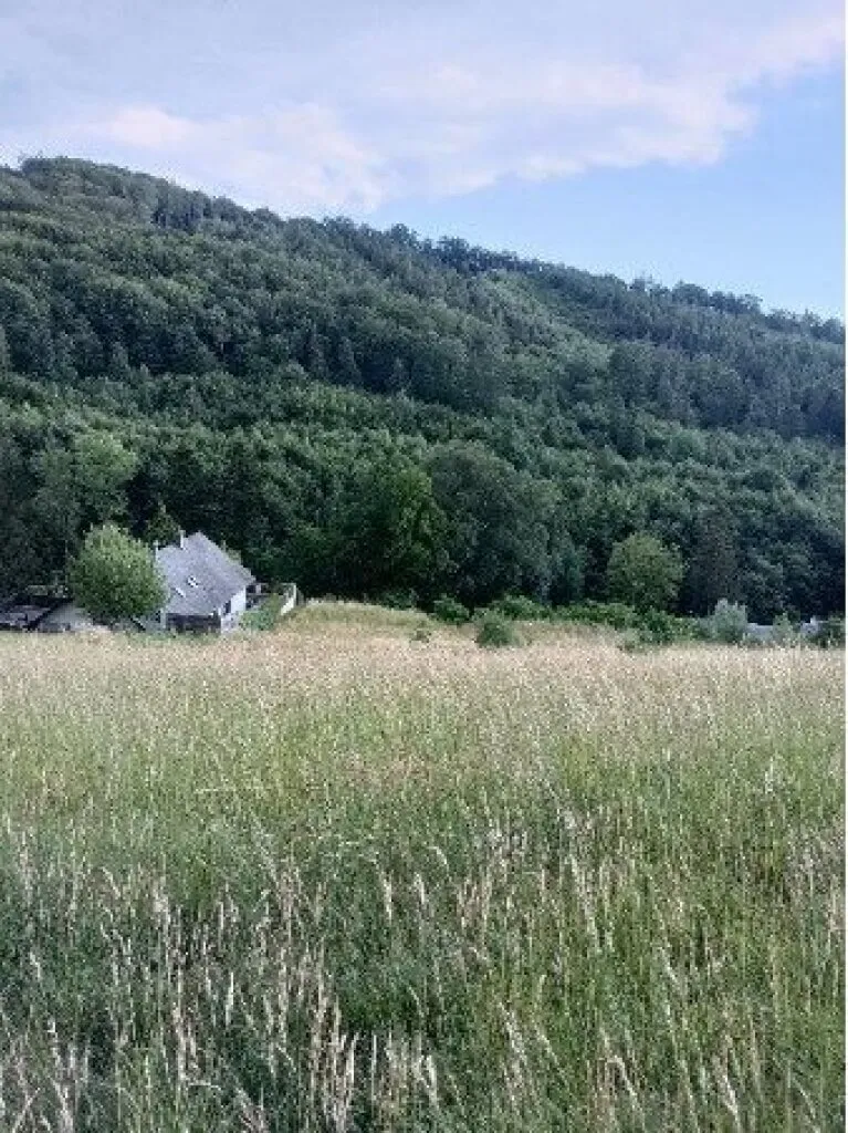 Traumhaftes Grundstück nahe Neulengbach/Altlengbach – pohled 3