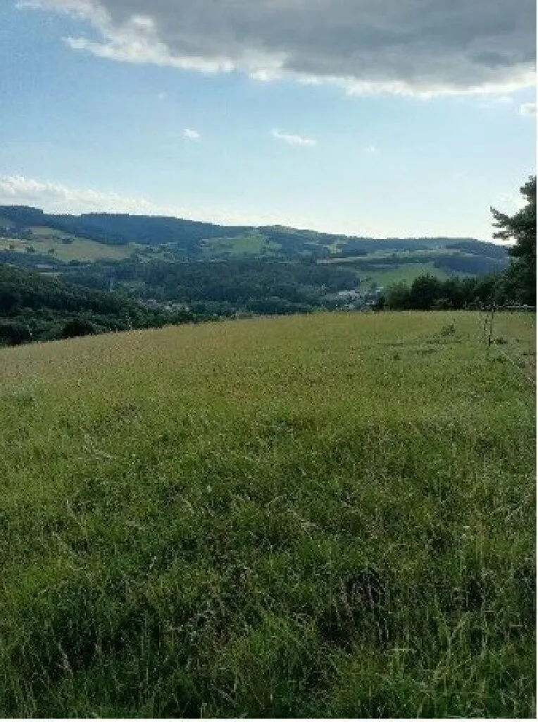 Traumhaftes Grundstück nahe Neulengbach/Altlengbach – pohled 2