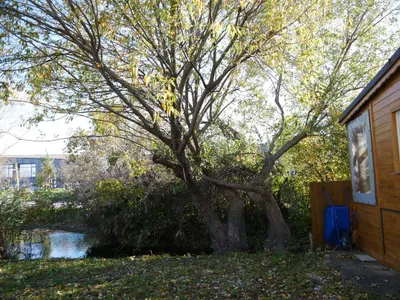 Grundstück mieten in Eisenstadt - Umgebung – 125 m², € 4.726 – Bild 5 von 13