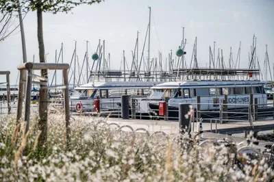 Grundstück mieten in Eisenstadt - Umgebung – 125 m², € 4.726 – Bild 12 von 13