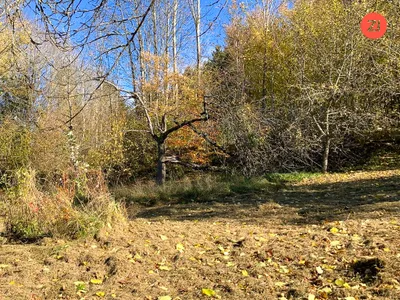 Haus kaufen in Rohrbach – 95 m², € 99.500 – Bild 8 von 11