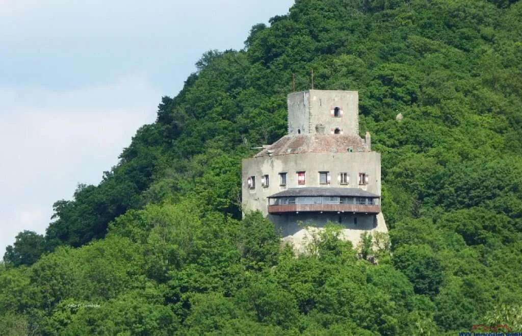 2 einzigartige Baugrundstücke mit Panorama auf die Burg Greifenstein - Vista 2