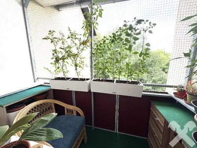 4-Zimmer-Wohnung kaufen in Hartberg-Fürstenfeld – 90 m², € 155.000 – Bild 15 von 18
