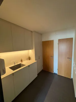 1-Zimmer-Gewerbeimmobilie mieten in Linz Land – 30 m², € 374 – Bild 11 von 13