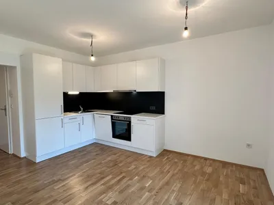 Wohnung zur Miete in 8020 Graz